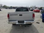 2000 Dodge Dakota Quattro