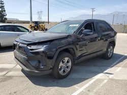 Toyota Rav4 salvage cars for sale: 2024 Toyota Rav4 XLE
