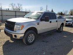 Salvage trucks for sale at Lansing, MI auction: 2014 Ford F150 Supercrew