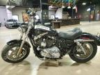 2014 Harley-Davidson XL1200 C