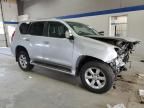 2011 Lexus GX 460