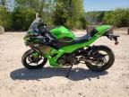 2024 Kawasaki EX500 A