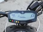 2019 Yamaha MT07