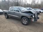 2007 Dodge Dakota Quattro