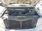 2006 Ford F150