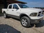 2009 Dodge RAM 1500