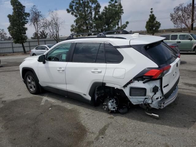 2025 Toyota Rav4 XLE