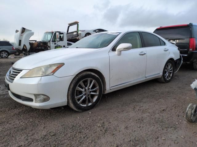 2010 Lexus ES 350