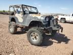 1975 Jeep Jeep CJ5