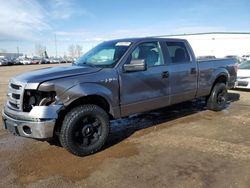 Salvage cars for sale from Copart Rocky View County, AB: 2014 Ford F150 Supercrew