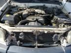 2004 Toyota Tundra