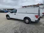 2010 Ford F150