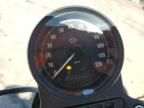2020 Harley-Davidson XL1200 NS