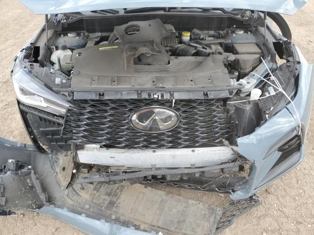2023 Infiniti QX50 Sport