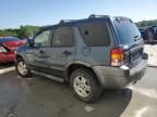 2006 Ford Escape XLT
