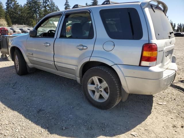 2006 Ford Escape HEV
