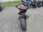2024 Ducati Monster
