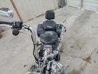 2005 Harley-Davidson Flsts