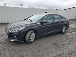 Hyundai Sonata salvage cars for sale: 2019 Hyundai Sonata SE
