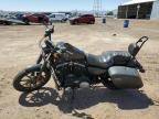 2019 Harley-Davidson XL883 N