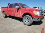 2009 Ford F150 Supercrew