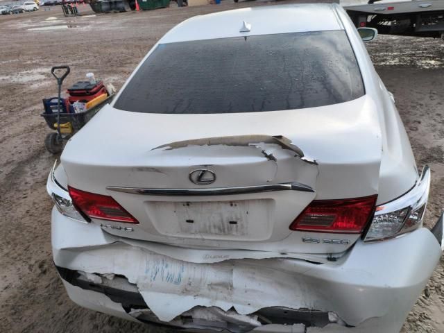 2010 Lexus ES 350