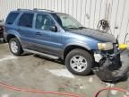 2006 Ford Escape XLT