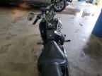 2004 Harley-Davidson Fxstbi
