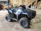 2024 Honda TRX520 FA
