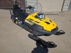 2010 Skidoo 2010 Skidoo Skandic