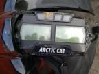 2019 Arctic Cat M800