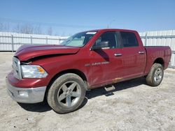 Dodge Vehiculos salvage en venta: 2011 Dodge RAM 1500