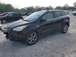 2015 Ford Escape SE en venta en Madisonville, TN