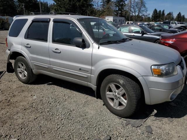 2006 Ford Escape HEV