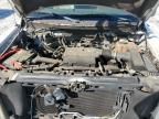 2010 Ford F150