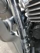 2019 Harley-Davidson Fltrxs