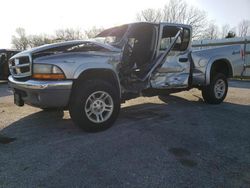 Salvage cars for sale from Copart Rogersville, MO: 2004 Dodge Dakota Quad SLT