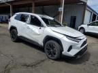 2024 Toyota Rav4 SE