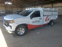 2023 Chevrolet Silverado C1500 en venta en Phoenix, AZ