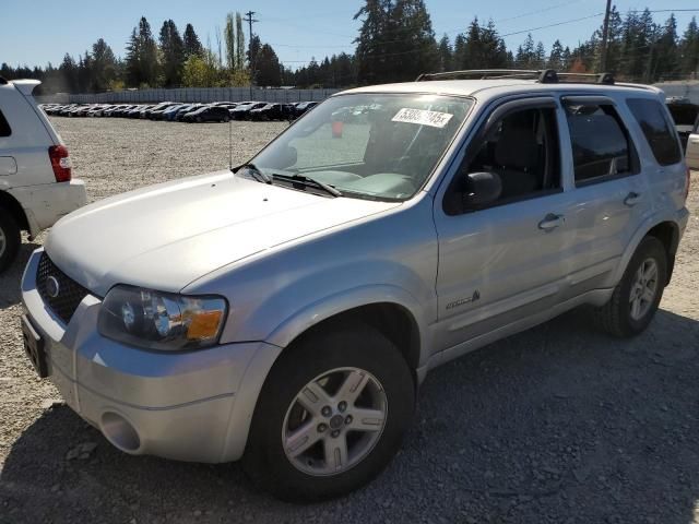 2006 Ford Escape HEV
