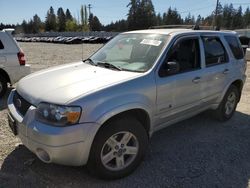 Ford Escape Vehiculos salvage en venta: 2006 Ford Escape HEV