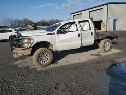 Ford Vehiculos salvage en venta: 2016 Ford F250 Super Duty