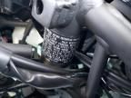 2024 Kawasaki EX500 H