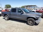 2004 Dodge Dakota Quad SLT