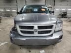 2011 Dodge Dakota SLT