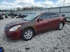 2011 Nissan Altima Base