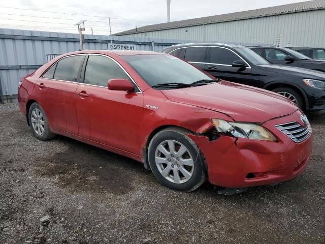 2008 Toyota Camry Hybrid