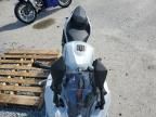 2025 Kawasaki EX500 H