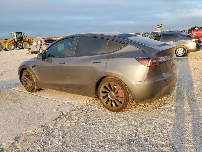 2023 Tesla Model Y