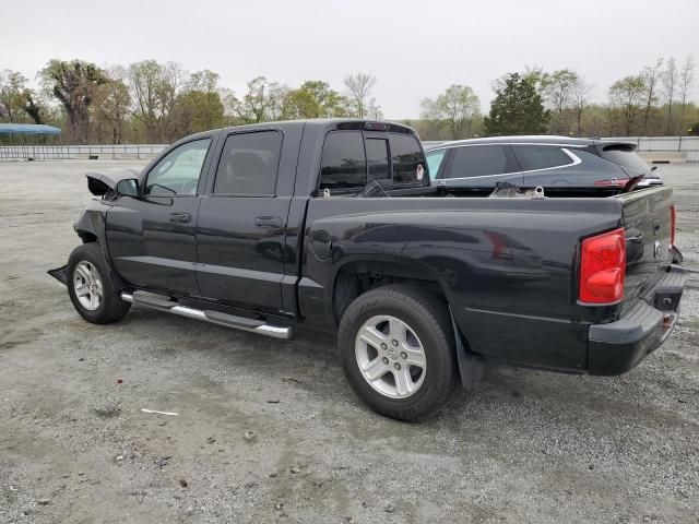 2010 Dodge Dakota SXT